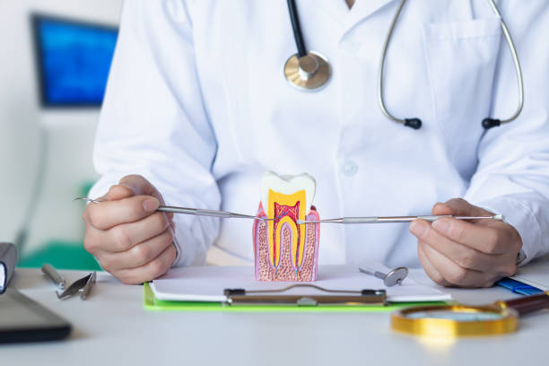  Ponderosa Pine, NM Emergency Dentist Pros